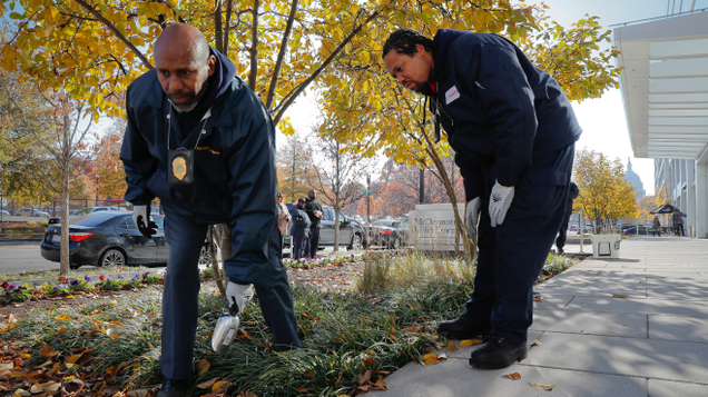 Pest Control Officers Gregory Cornes, left, and Andre Pitman, both from the D.C. Department of Health’s Rodent Control Division, searching the flower beds for rat burrows near U.S. Capitol building in Washington, Wednesday, Nov. 21, 2018.